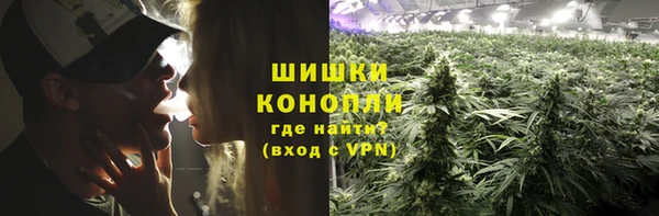 не бодяженный Семёнов