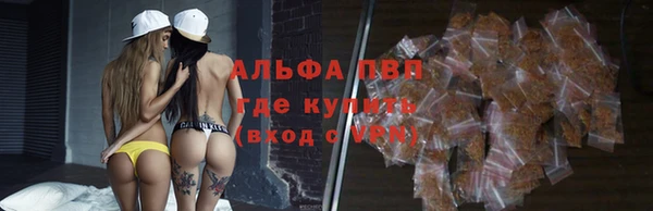 дживик Абаза