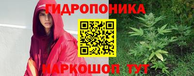 Альфа ПВП Краснознаменск
