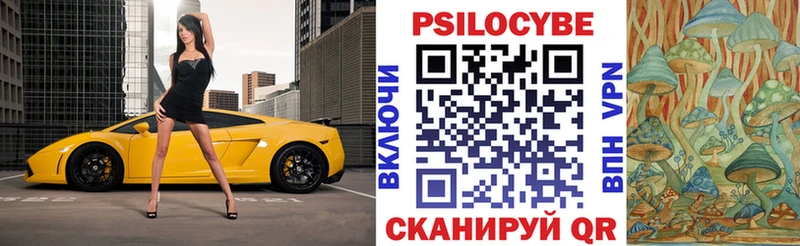 Псилоцибиновые грибы мухоморы  МЕГА ссылки  Кинешма  как найти закладки 