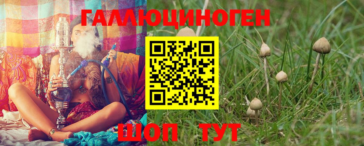 Галлюциногенные грибы Psilocybe Кинешма