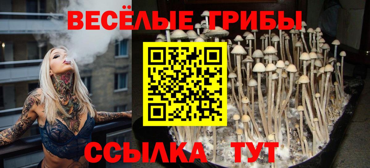 Галлюциногенные грибы MAGIC MUSHROOMS  Вход с VPN  Кинешма 